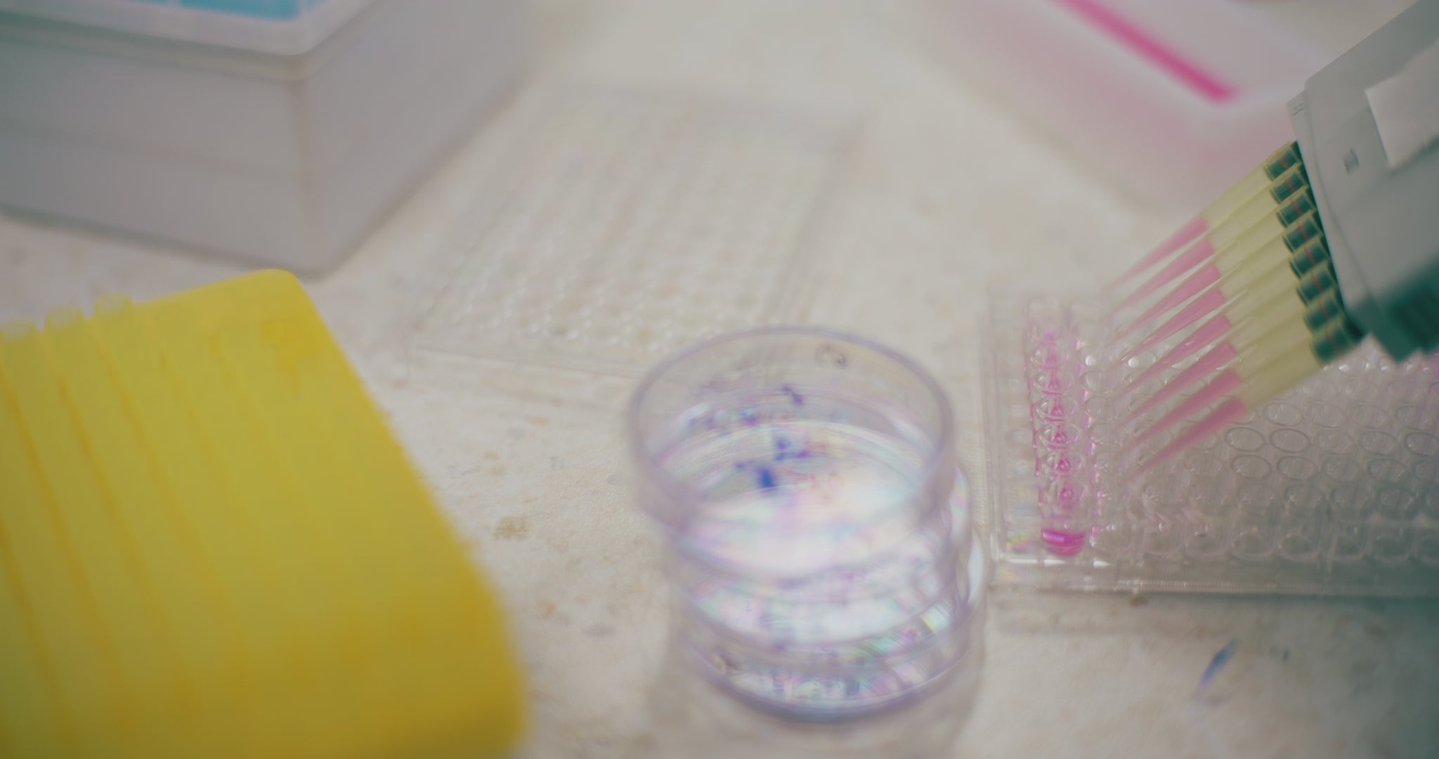 Laborvideo mit automatischer Pipettierung in eine 96-Well-Platte. Zeigt präzise Forschung, biotechnologische Analyse und professionelle Hautpflegeentwicklung.