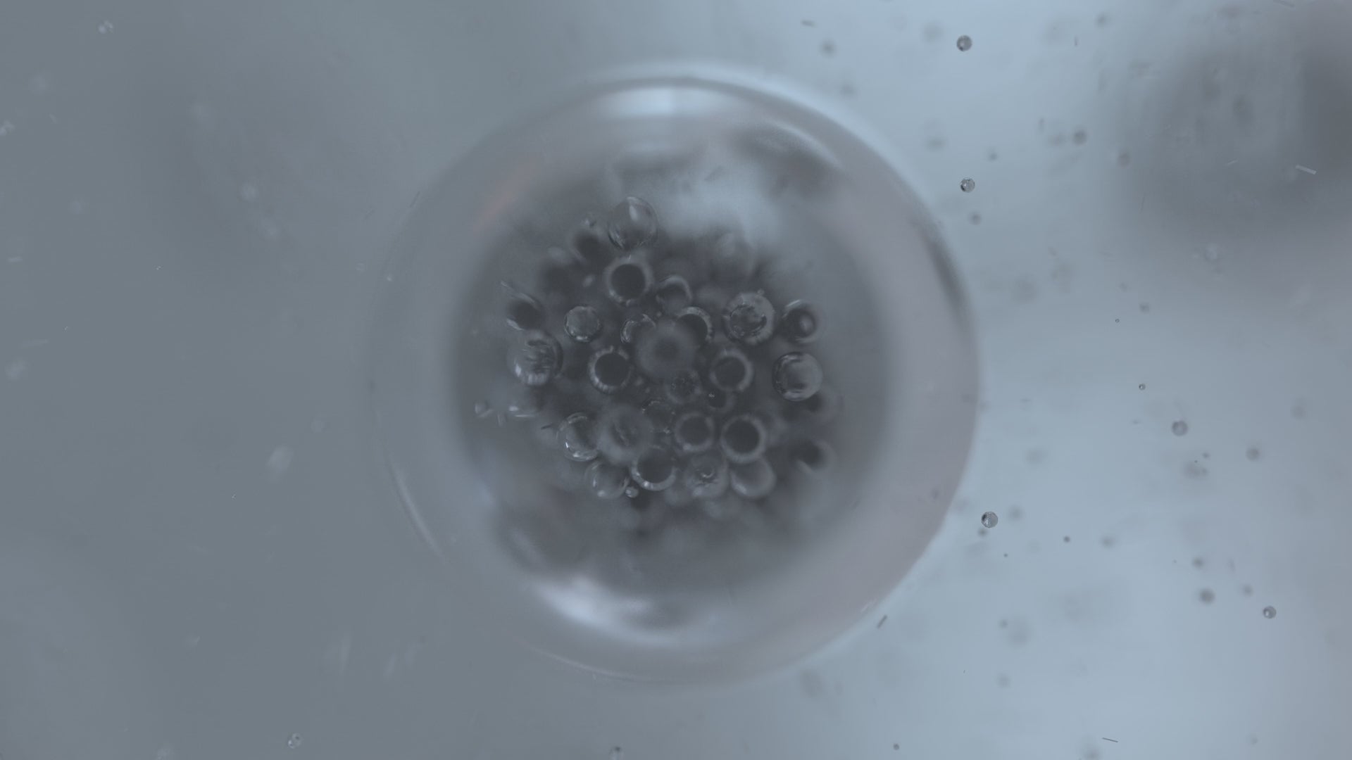 3D animation of cell division and biological duplication, representing molecular science and stem cell innovation for advanced skincare.